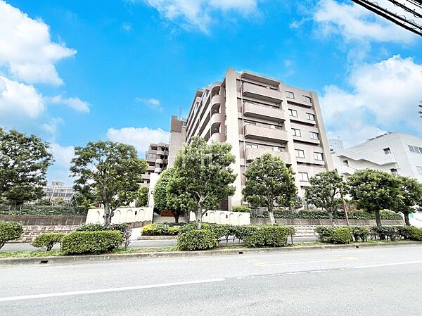 外観：312001213100