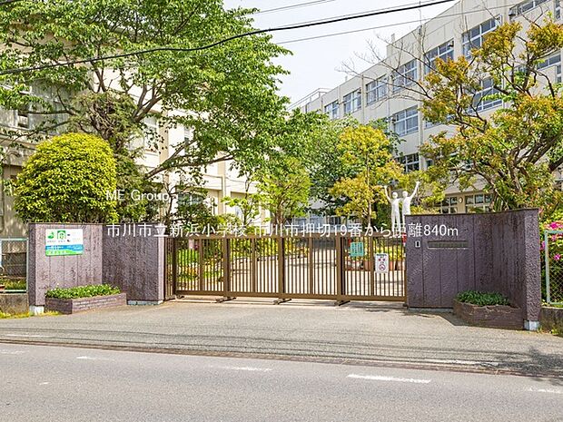 小学校 840m 市川市立新浜小学校