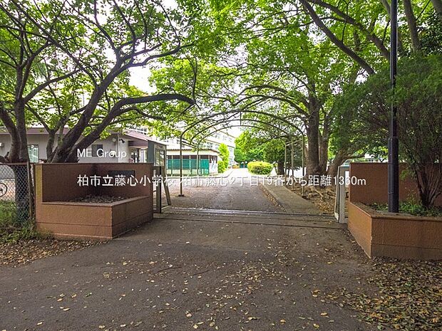 小学校 1360m 柏市立藤心小学校