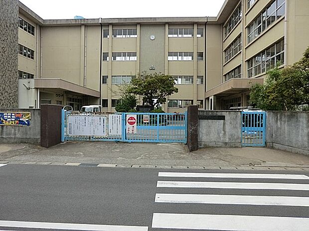 小学校 700m 松戸市立古ケ崎小学校
