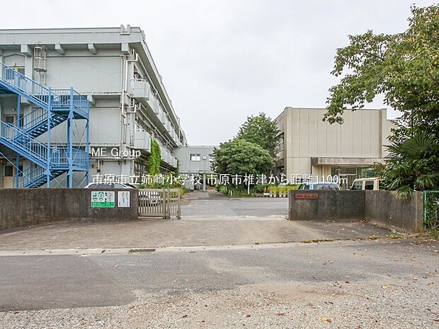 小学校 1100m 市原市立姉崎小学校