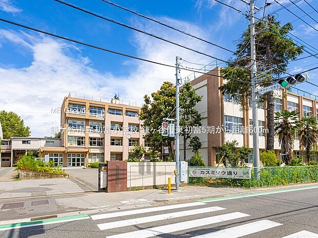 小学校 600m 鎌ケ谷市立初富小学校