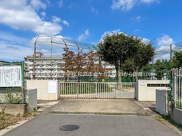 中学校 1200m 松戸市立金ケ作中学校