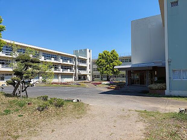 中学校 374m 成田市立中台中学校