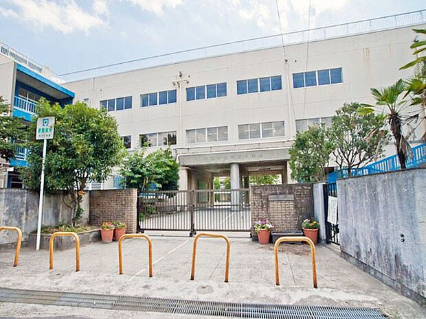 小学校 1400m 市川市立市川小学校