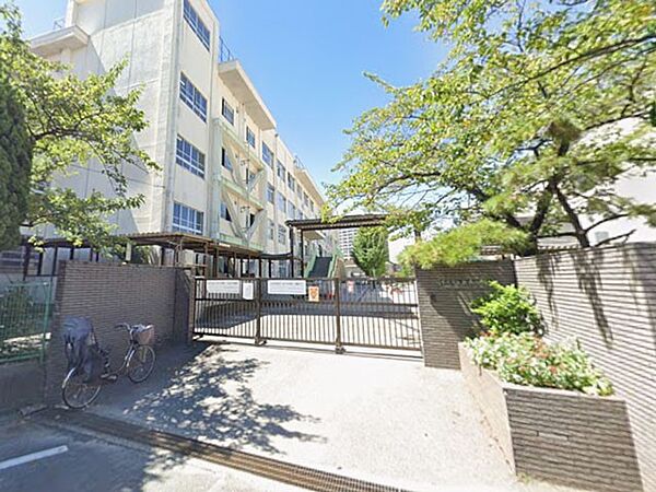 小学校 260m 市川市立新井小学校