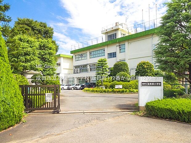 小学校 1200m 成田市立加良部小学校