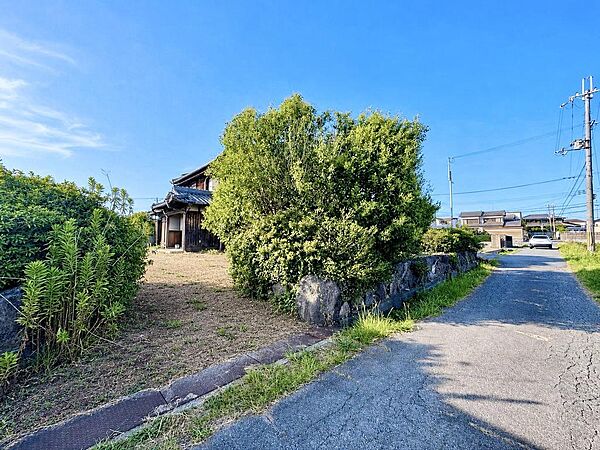 古家と同じく樹木伐採渡し♪