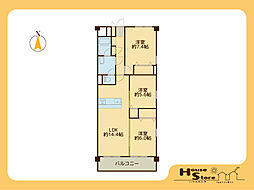 メゾン新郷 3LDKの間取図画像