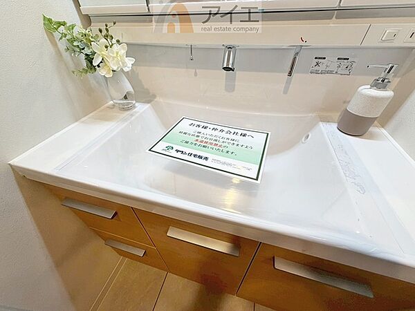 三面鏡にハンドシャワー付き、使いやすい洗面台