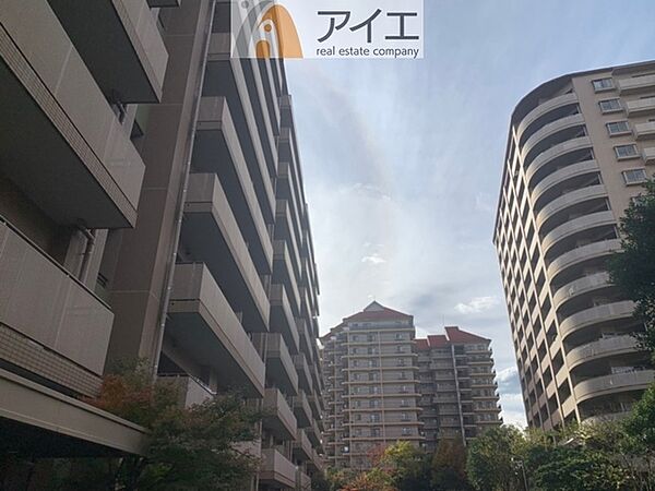 外観：312001236700