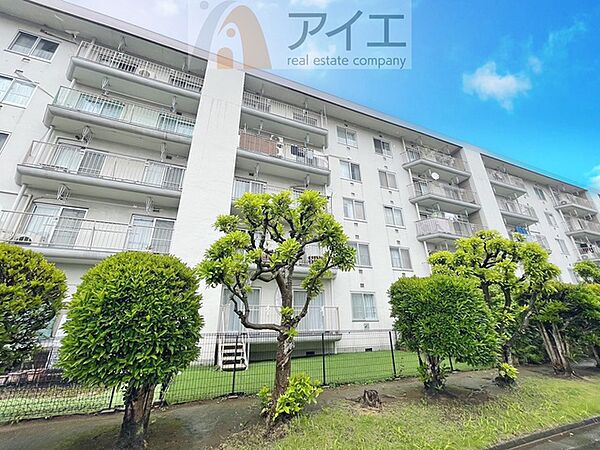 外観：312001245167