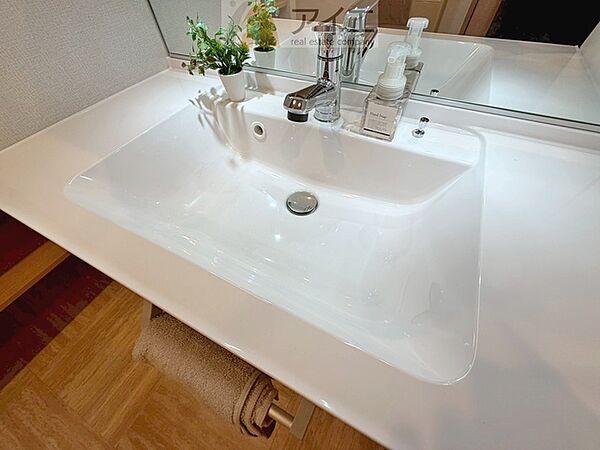 三面鏡にハンドシャワー付き、使いやすい洗面台