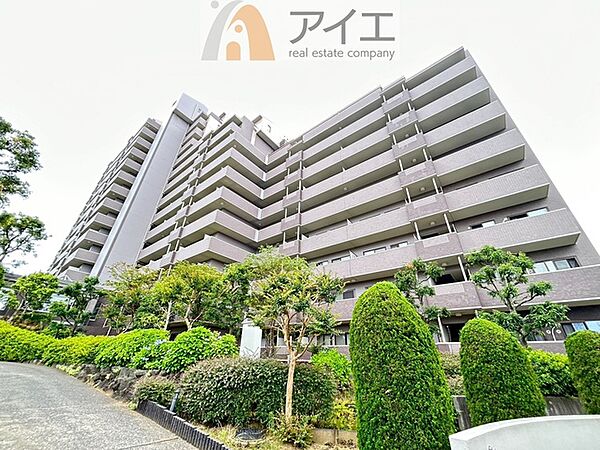 外観：312001290709