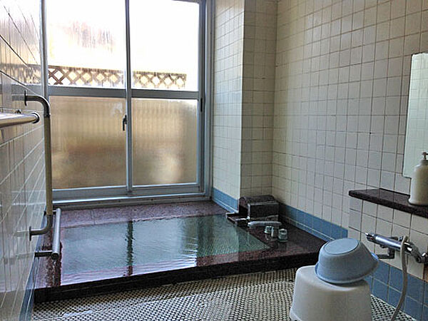 apartment 群馬県利根郡みなかみ町石倉
地図を見る