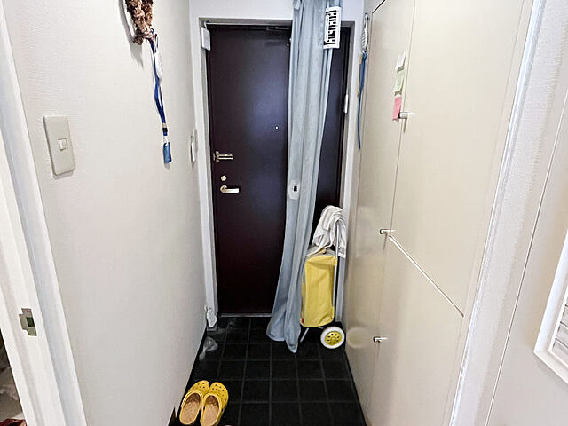 玄関 ロイヤルプラザ水上 9階/-