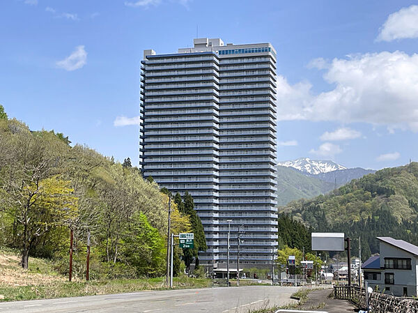 外観：315000034337