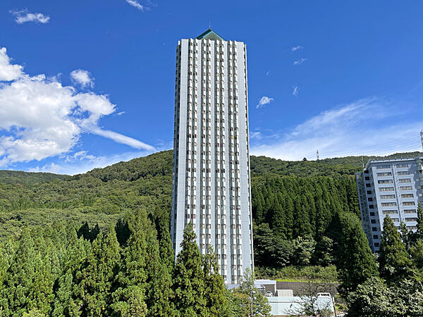 外観：315000036909