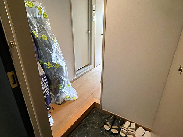 玄関側から見た室内