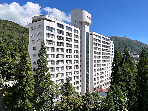外観：315000038324