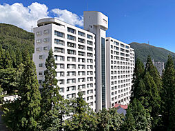 ダイアパレス苗場