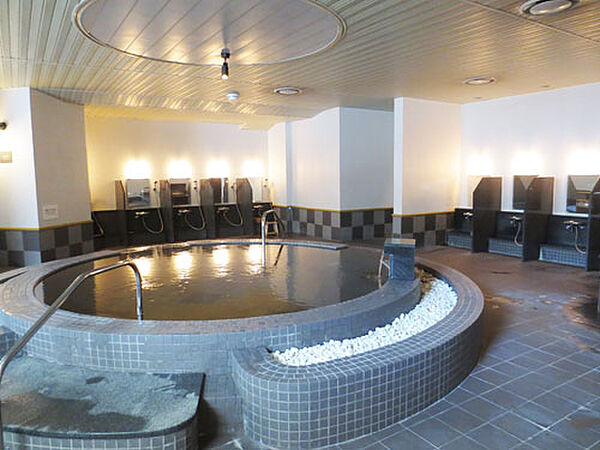 apartment 群馬県利根郡みなかみ町湯原
地図を見る
