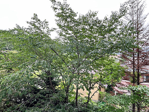 apartment 群馬県利根郡みなかみ町湯原
地図を見る