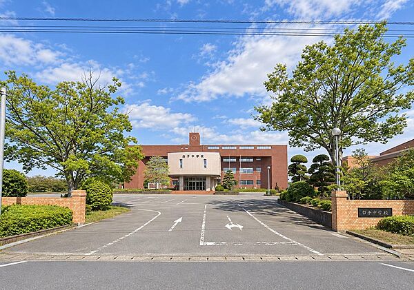 届出など車のアクセスがしやすいロケーションにあります。