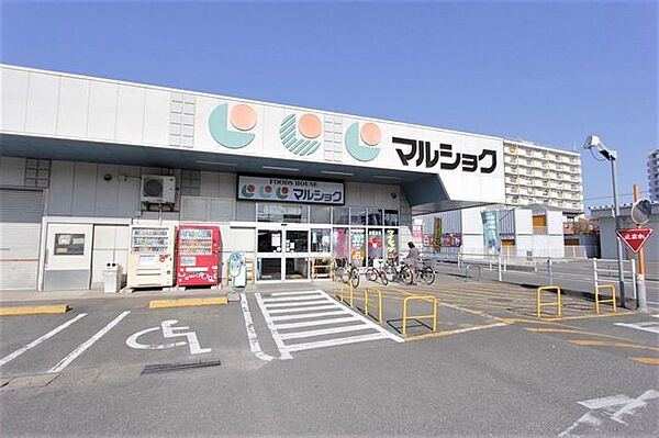 マルショク 諸岡店 1200m