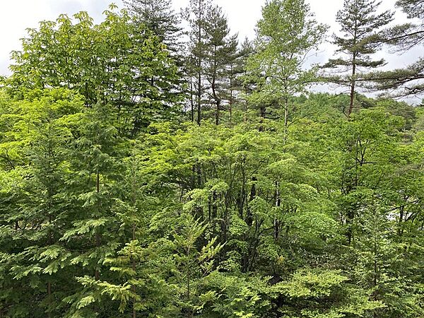 apartment 群馬県吾妻郡草津町大字草津
地図を見る