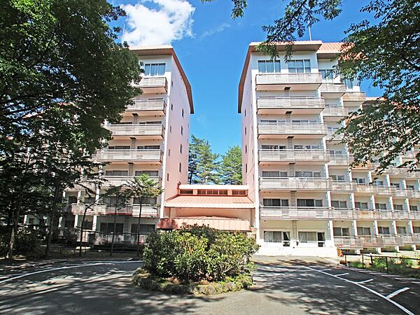 apartment 群馬県吾妻郡草津町大字草津
地図を見る