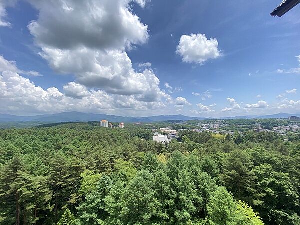 apartment 群馬県吾妻郡草津町大字草津
地図を見る