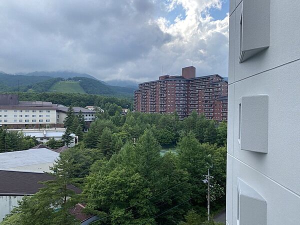 apartment 群馬県吾妻郡草津町大字草津
地図を見る