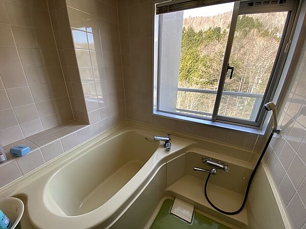 apartment 群馬県吾妻郡草津町大字草津
地図を見る