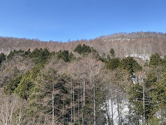 その他 マウントマリーナ草津Ａ棟 10階/-