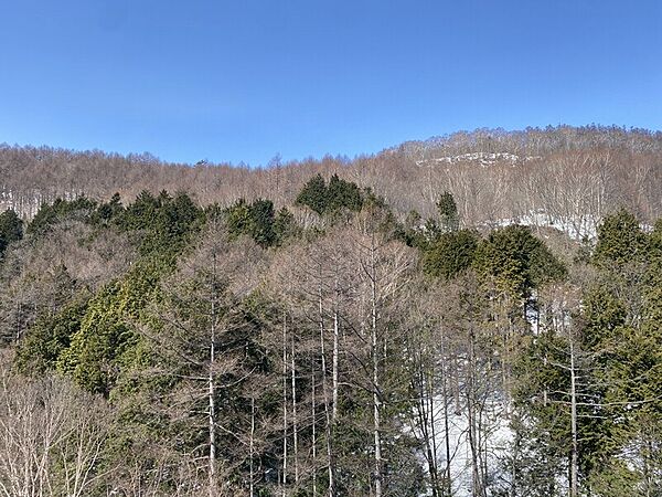 apartment 群馬県吾妻郡草津町大字草津
地図を見る