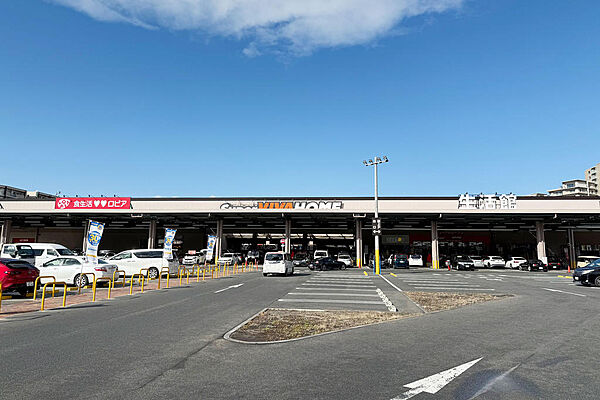 スーパービバホーム 吹田千里丘店：徒歩9分（650ｍ） シ