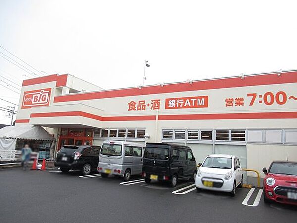 ザ・ビッグ小田原寿町店 400m