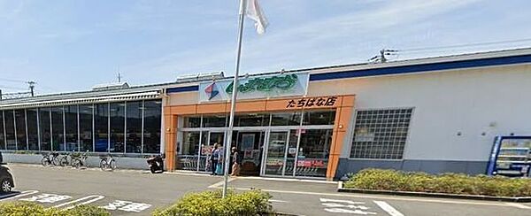 しまむらストアー たちばな店 500m