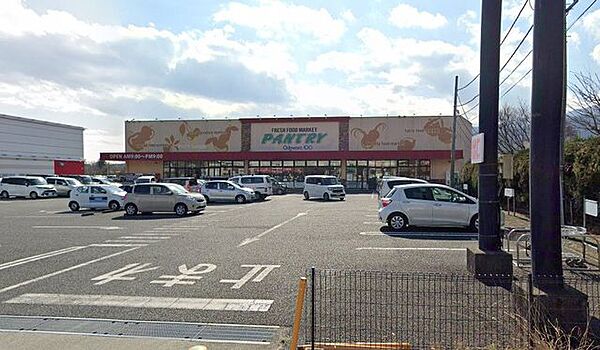 小田原百貨店南足柄店 1100m