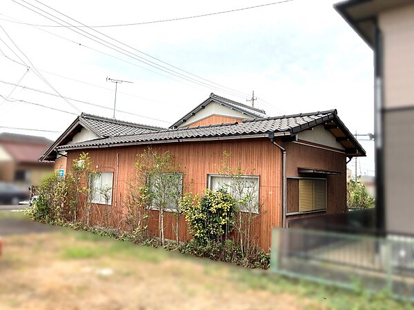 現地写真