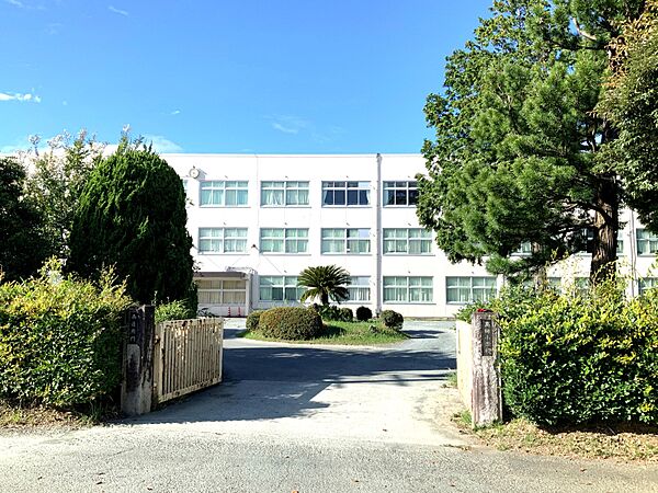 （周辺）豊橋市立高師小学校・・・約320m