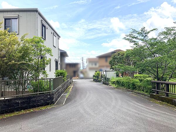 西側道路