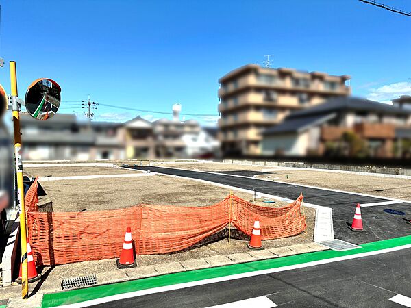 南西から全体を見る
