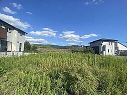 宮城県石巻市鹿又字新土手前