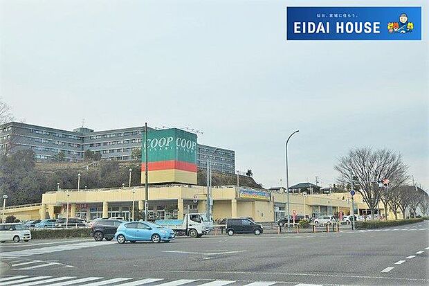 COOP　MIYAGI桜ヶ丘店 徒歩13分。 970m