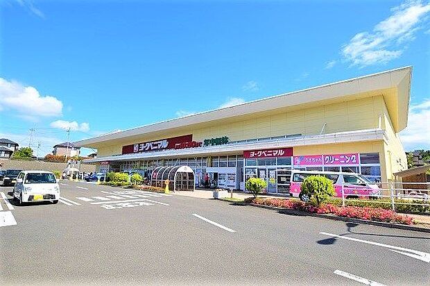 ヨークベニマル南中山店 徒歩22分。 1690m