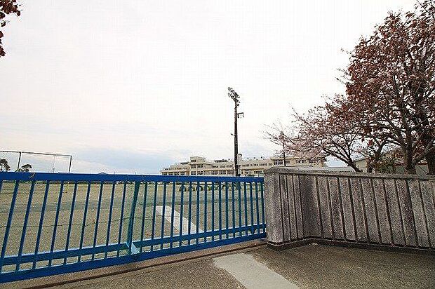 仙台市立東四郎丸小学校 徒歩5分。 370m