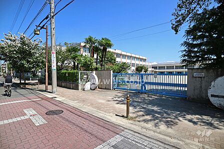 鳥羽見小学校[公立]の外観