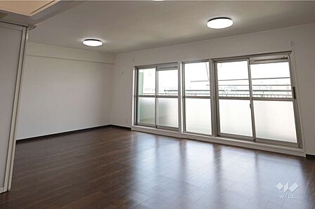 LDK19.2帖［2026年5月25日撮影］